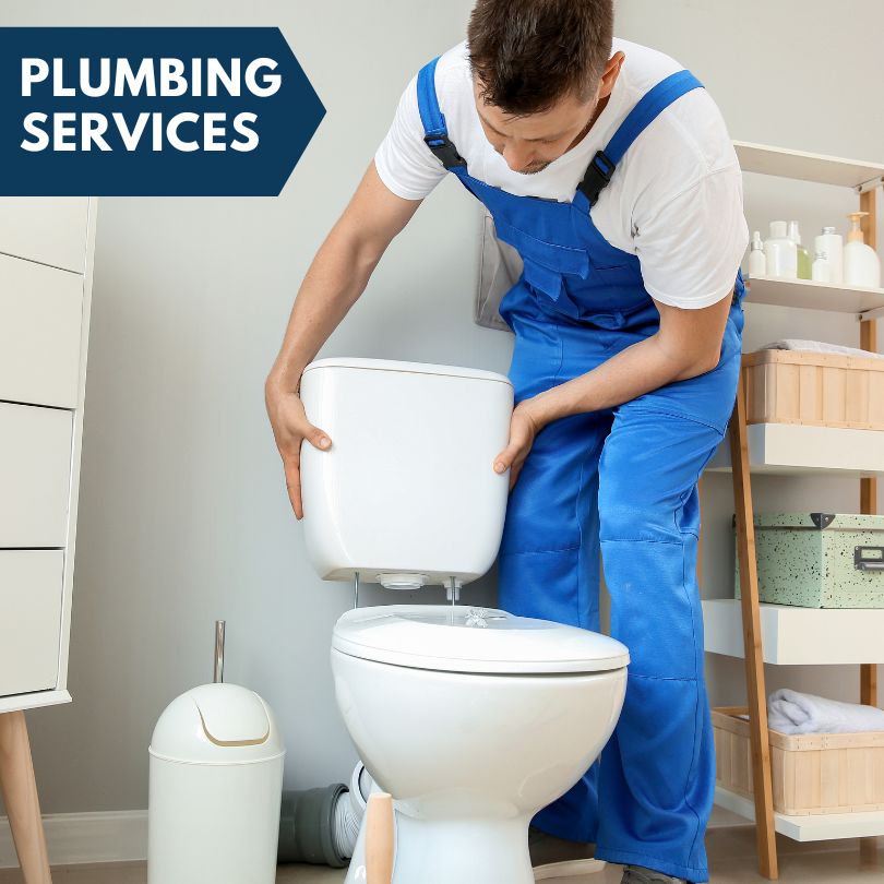 Plumbing Company in Connelly, NY